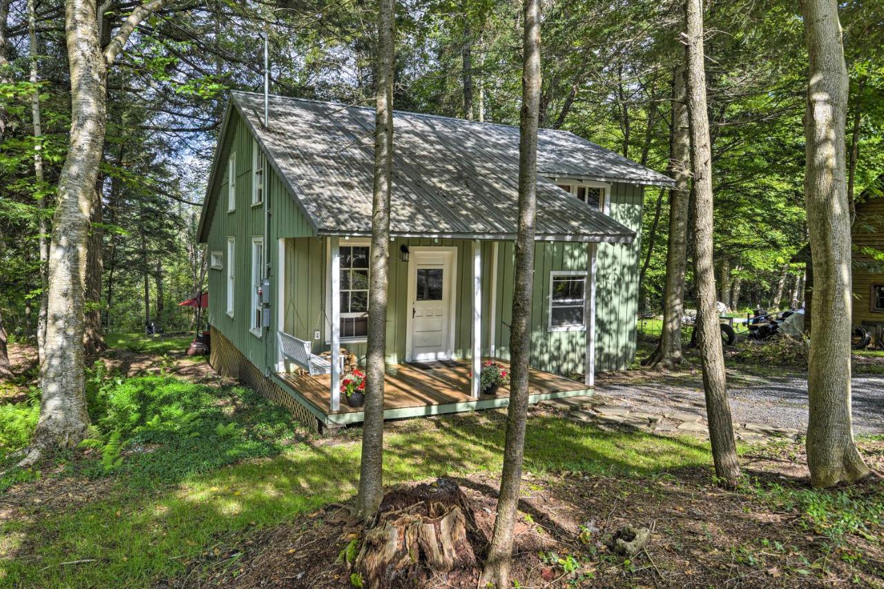 Adirondacks Cabin With Fire Pit On Otter Lake! Forestport Екстериор снимка